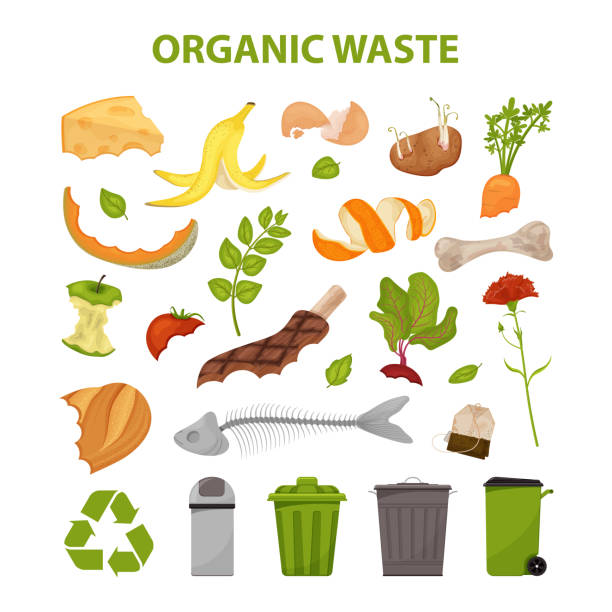 illustrazioni stock, clip art, cartoni animati e icone di tendenza di rifiuti organici - spreco alimentare