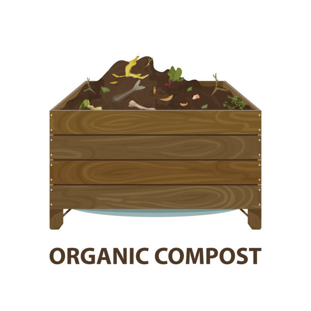 illustrations, cliparts, dessins animés et icônes de compost organique. boîte en bois de dessin animé - stick wood sign twig