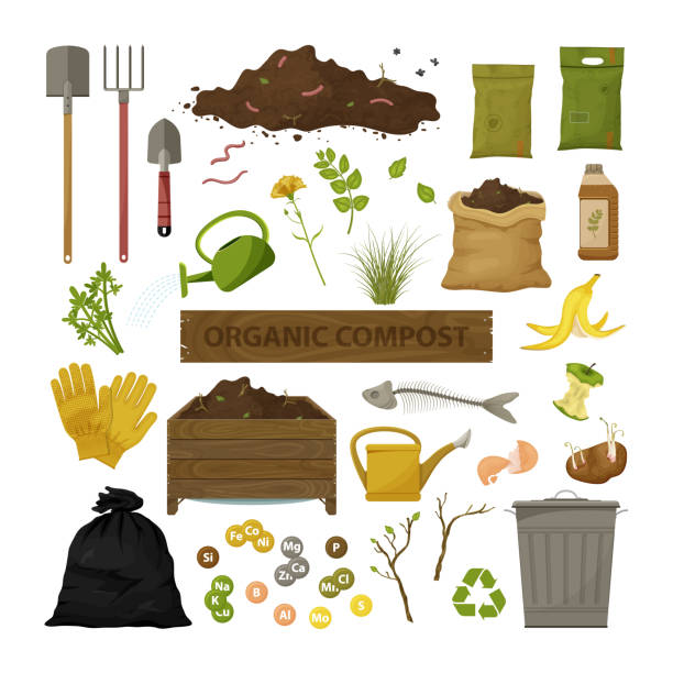 bildbanksillustrationer, clip art samt tecknat material och ikoner med ekologiskt kompost tema - organic bag