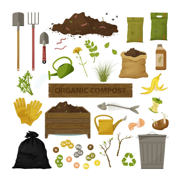 Organic compost theme Set of cartoon flat icons. Organic compost theme. Garden tools, wooden box, ground, food garbage. Illustration of bio, organic fertilizer, compost, agronomy. Colored vector design. compost stock illustrations