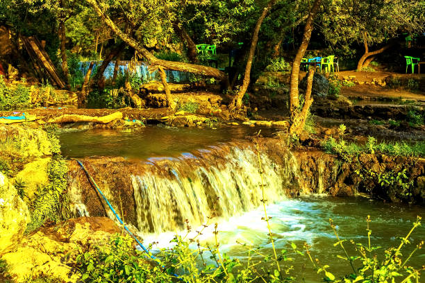 Close Up Of Waterfall In forest