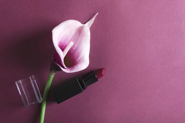 Photo of Calla flower and matte purple lipstick on the violet surface.Top view and empty space for text