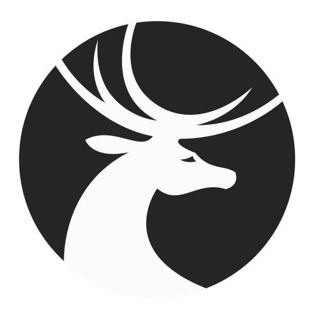 ilustraciones, imágenes clip art, dibujos animados e iconos de stock de cabeza de ciervo estilizada - deer portrait