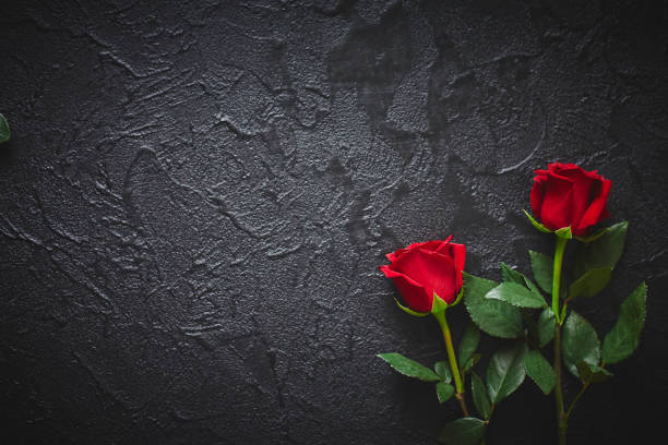 istock Two red roses on a dark, black stone background. Place for text 1165723173