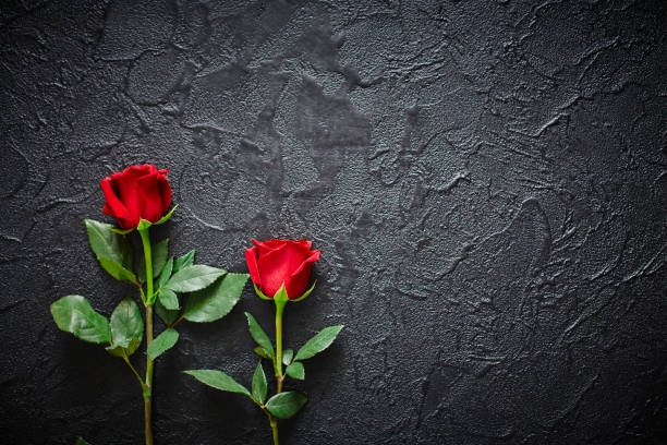istock Two red roses on a dark, black stone background. Place for text 1165723177