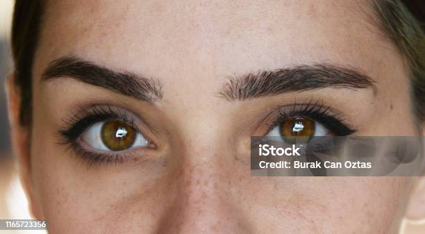 Woman With Natural Make Up Stock Photo - Download Image Now - Eye, Women, Close-up