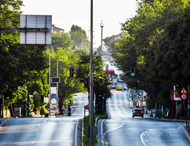istock a double road street in Istanbul Turkey / trees on both ways 1165724714