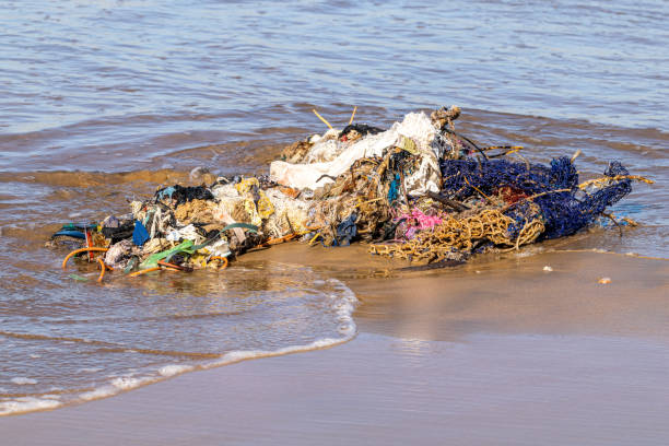 redes de pesca y basura contaminante arrastrado desde el océano atlántico a una playa de arena en agadir, marruecos - wild abandon fotografías e imágenes de stock