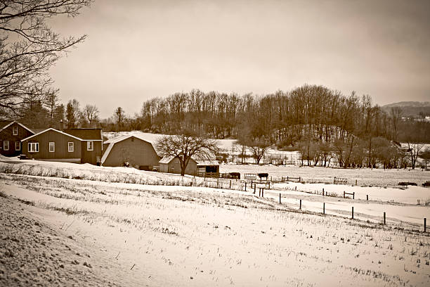 istock Farmstead in Winter Rain, monochromatic, sepia tone 116572631