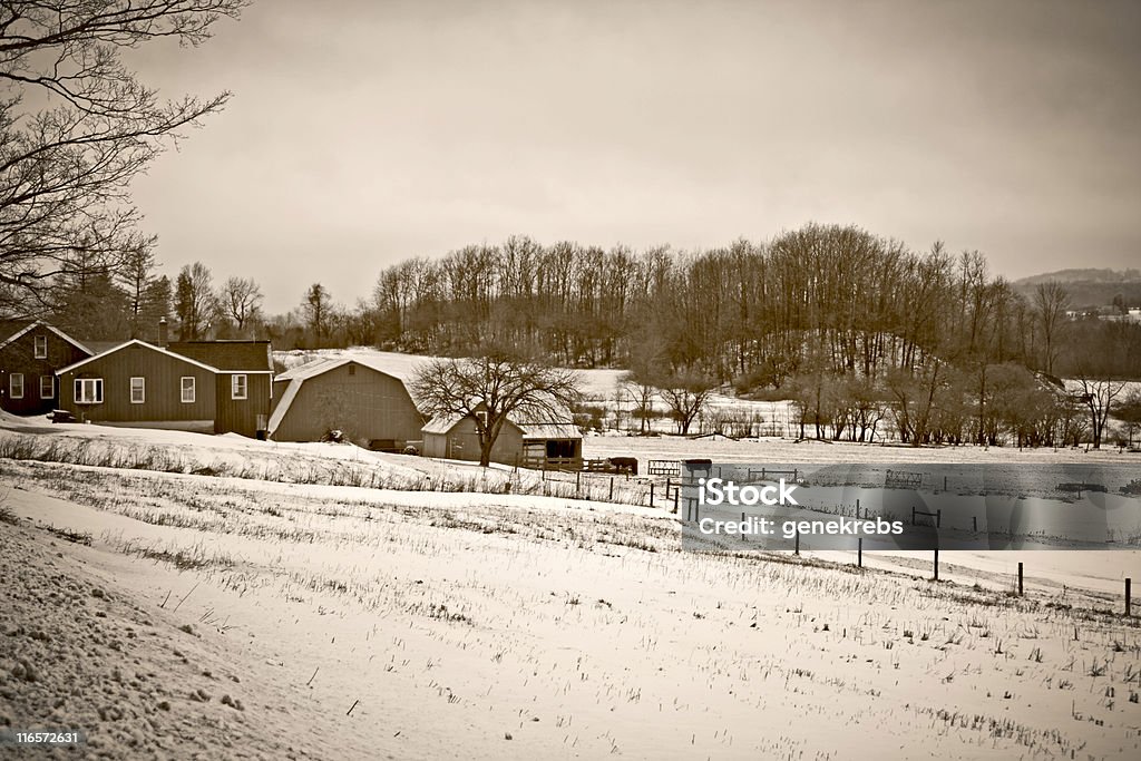 Farmstead w zimie deszcz, monochromatyczny, sepia tone - Zbiór zdjęć royalty-free (Bez ludzi)