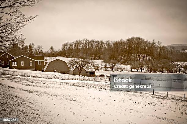 Farmstead W Zimie Deszcz Monochromatyczny Sepia Tone - zdjęcia stockowe i więcej obrazów Bez ludzi