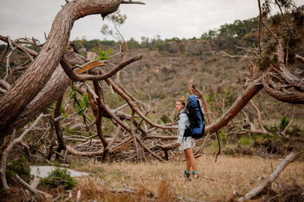 istock Girl with backpack standing on the dry field among the broken trees 1165727536