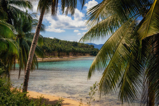 Coconut Beach through jungle with palm trees in Port Barton, Palawan, Philippines