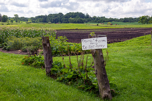 Organic Farm Sign at Amish farm.