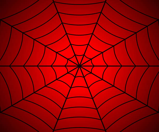 ÐÑÐ½Ð¾Ð²Ð½ÑÐµ RGB Spider web illustration, Vector cobweb spider web stock illustrations