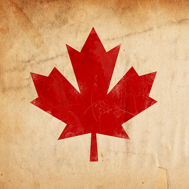 Image of an old, grunge piece of  XXL paper with canada's flag layed over top. Great background file/design element. See more quality images like this one in my portfolio.