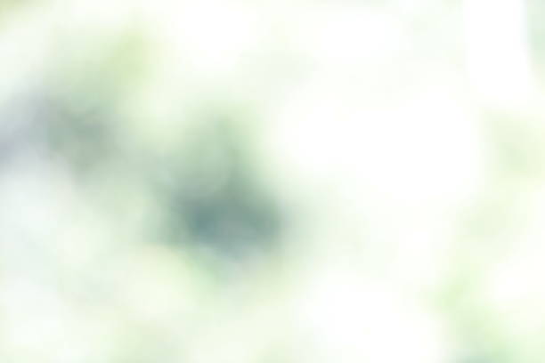 Bokeh, green and white leaves