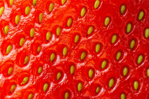 istock Macro picture of strawberry surface nature texture background 1165737184