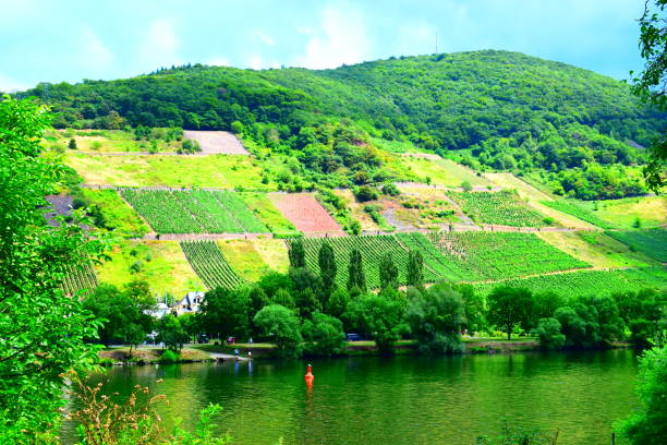 2019 Mosel valley