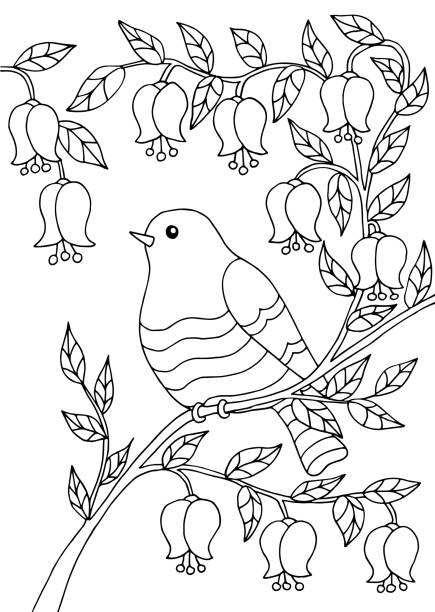 Bird sitting on a branch, coloring page Bird sitting on a branch of a flowering tree, coloring page for children and adults starling stock illustrations
