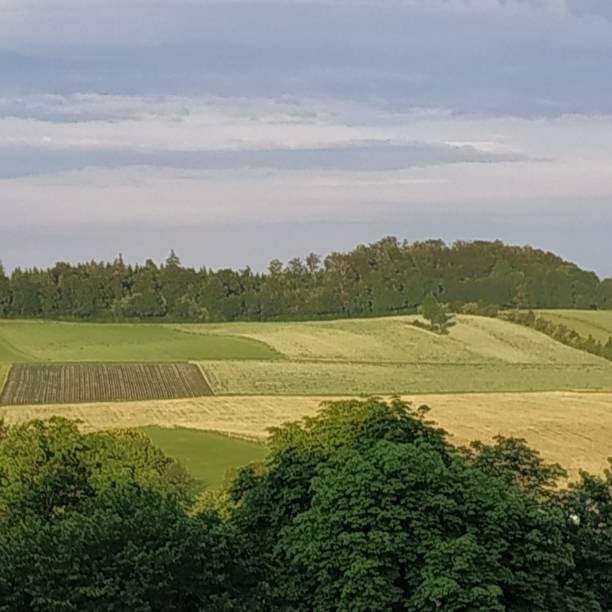 istock rural landscape in Denmark 1165742471