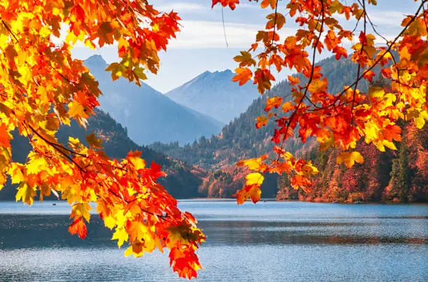 Autumn view on lake Alpsee with small boat, Bavaria, Germany