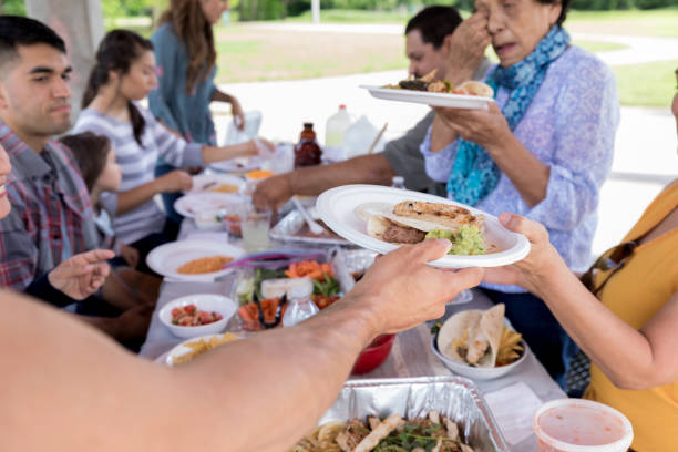 istock Unrecognizable person passes plate to sister during picnic 1165743019