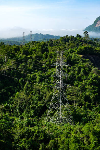 istock Electricity pylons with cables in green forest with morning mist 1165743752