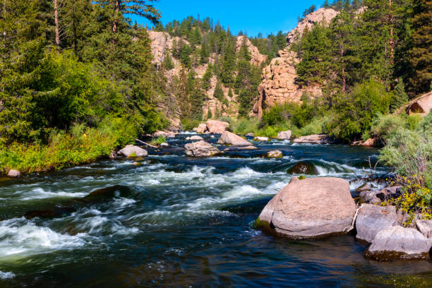 istock Whitewater in Eleven Mile Canyon 1165743874