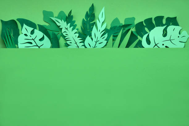 istock Dark floral background with paper tropical leaves 1165743905