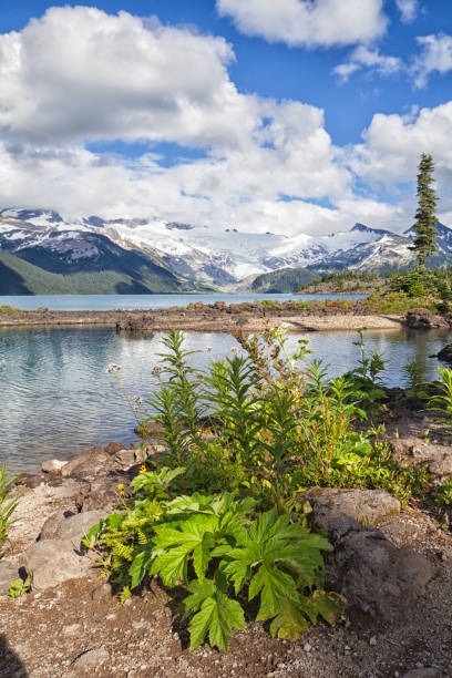 istock Garibaldi Lake in summer, BC, Canada 1165745989