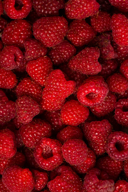 Macro shot of a bunch of fresh raspberries