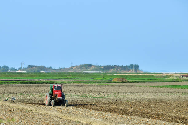 Spring field works