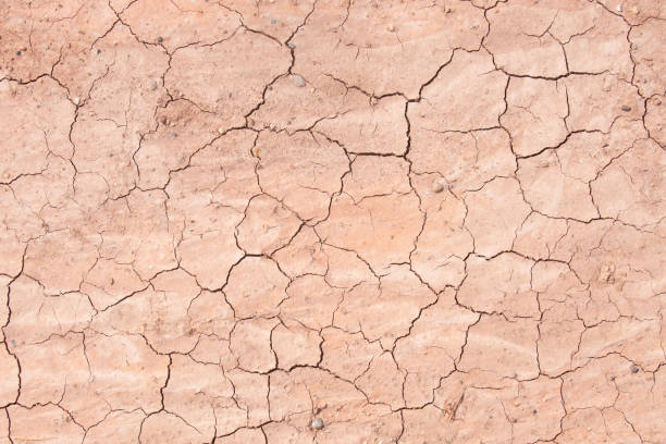 istock Texture of dry crackled soil dirt or earth during drought. 1165756363