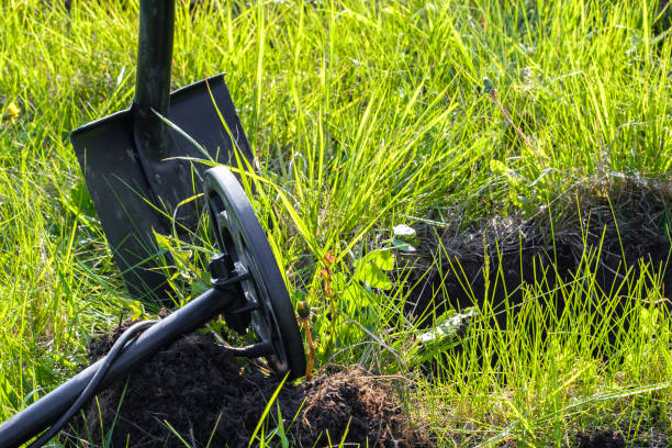 istock on the green grass treasure hunter tools, metal detector 1165756373