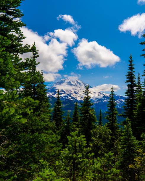 istock Mount Rainier with sun and clouds above Eunice Lake and Tolmie Peak 1165760595