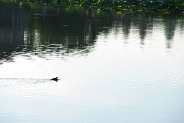 a small view of the water