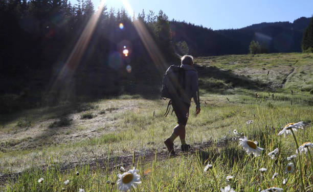 istock Male hiker ascends mountain meadow at sunrise 1165762078