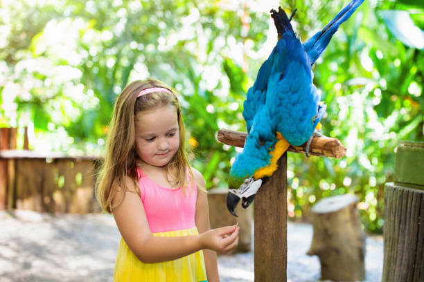 istock Kids feeding macaw parrot. Child playing with bird 1165763749