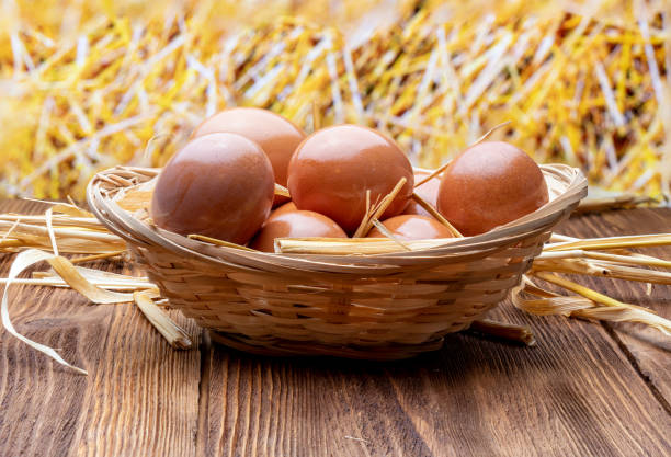 Fresh and raw eggs in wicker basket and straw. Rustic and granaja image.