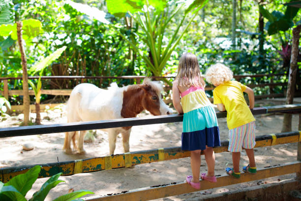 istock Child riding horse. Kids ride pony. 1165764290