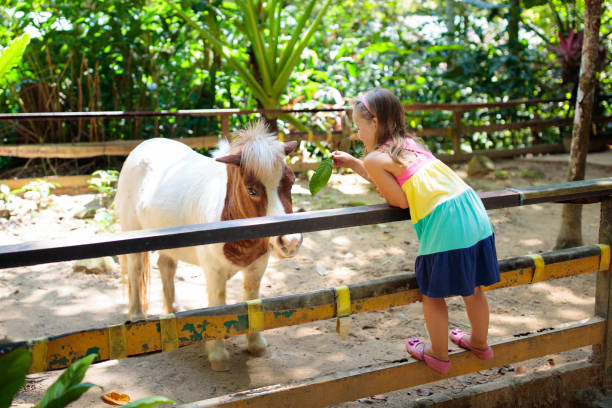 istock Child riding horse. Kids ride pony. 1165765055