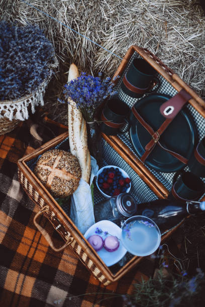 istock Picnic Basket in Lavender Field 1165766770