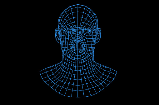 Three dimensional mesh image of a man face.