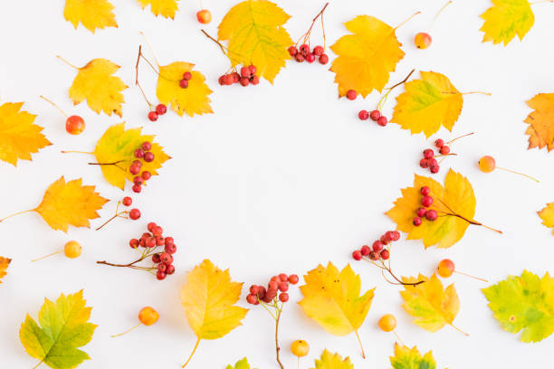 istock Flat lay frame with colorful autumn leaves and berries on a white background 1165769395