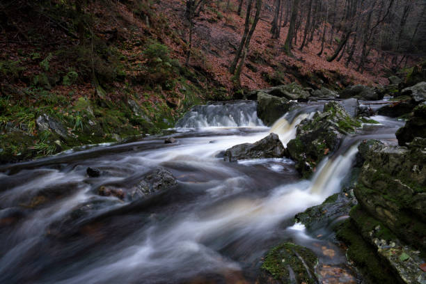 istock Waterfalls in the river Hoegne 1165770306