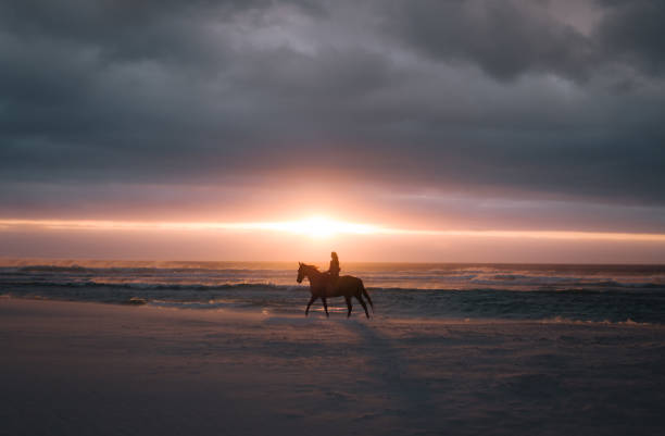 Silhouette of a rider on a horse at sunset on the beach. Woman horse riding on the sea shore at sunset.