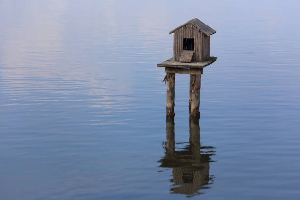 istock Duck house on a quite lake 1165773902