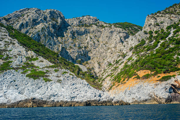 istock Lalaria Beach, Skiathos Island, Greece 1165773945