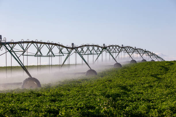 istock Center pivot crop irrigation system for farm management 1165775152